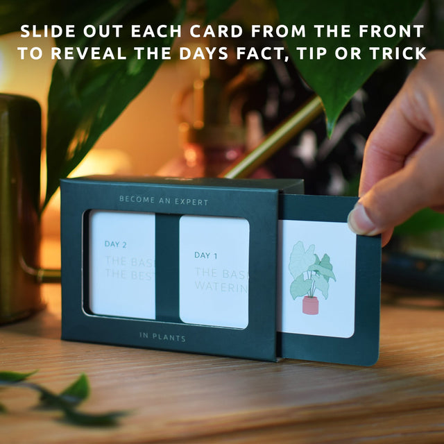 Become an expert in plants in 90 days slide box by Pikkii on side table with hand sliding out day 1