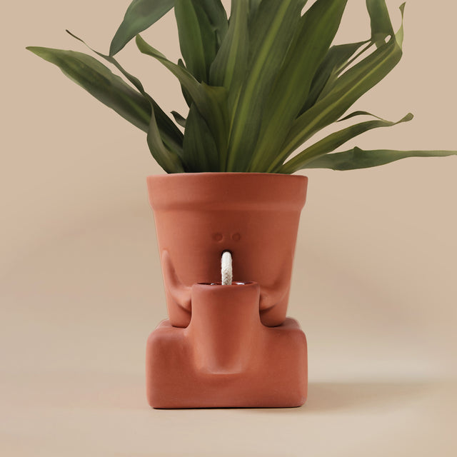 The Thirsty Planter