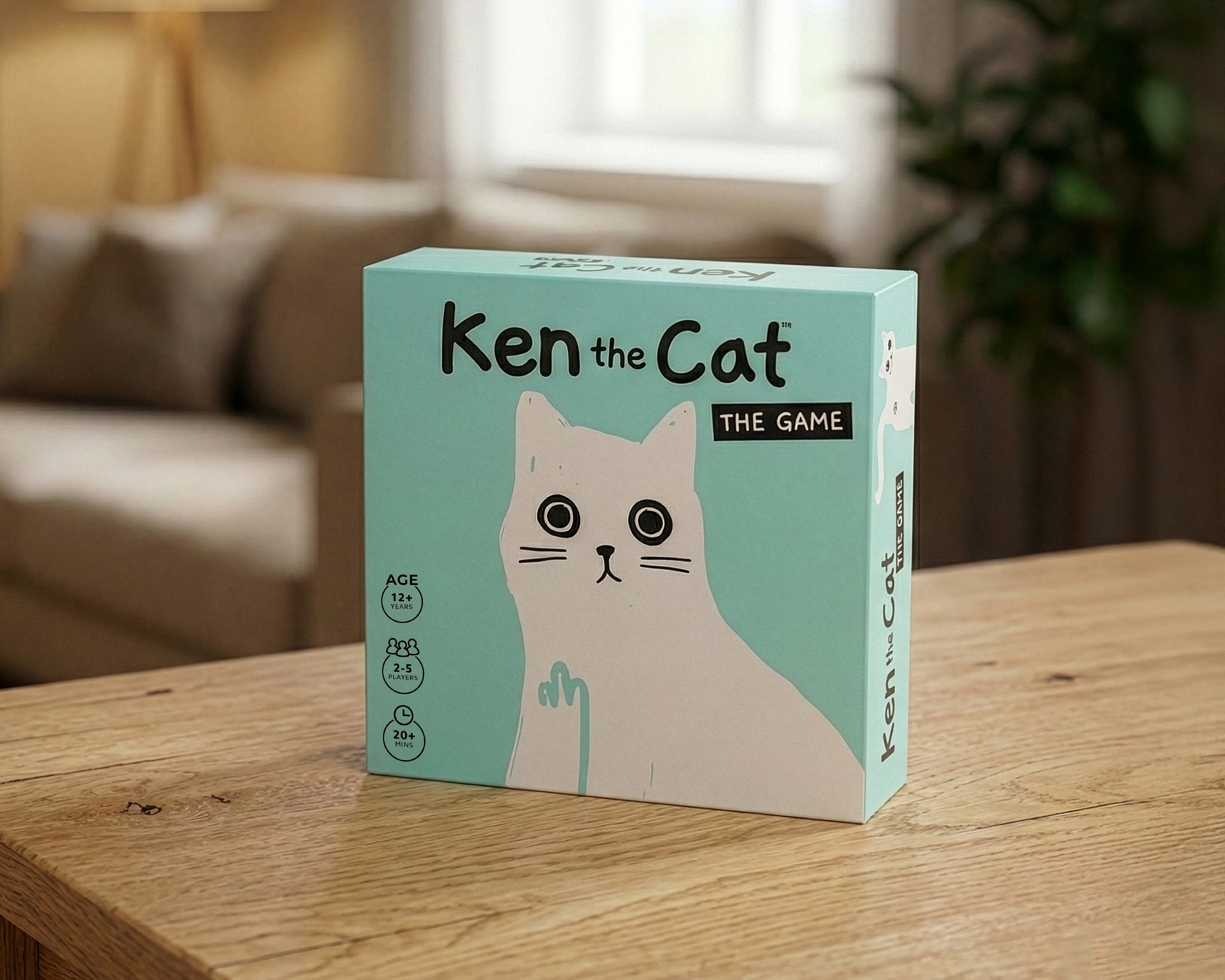 Ken the Cat Game – Pikkii Wholesale