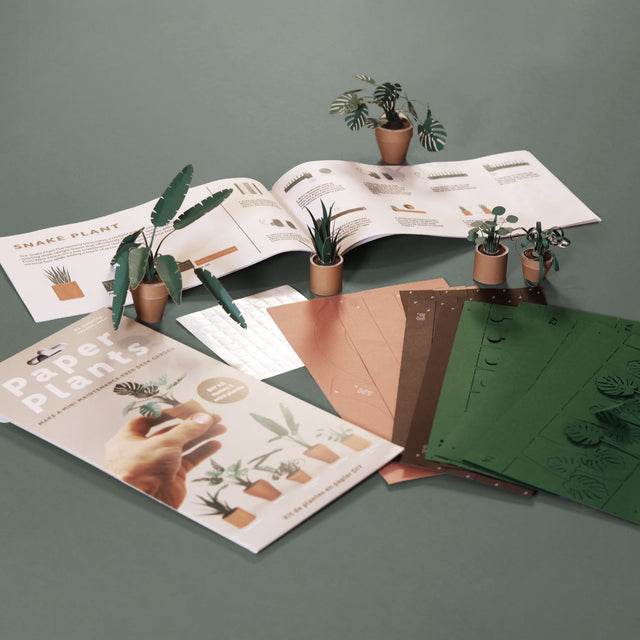 Paper Plants DIY houseplant craft kit contents
