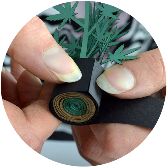 Roll Your Own Weed Plants