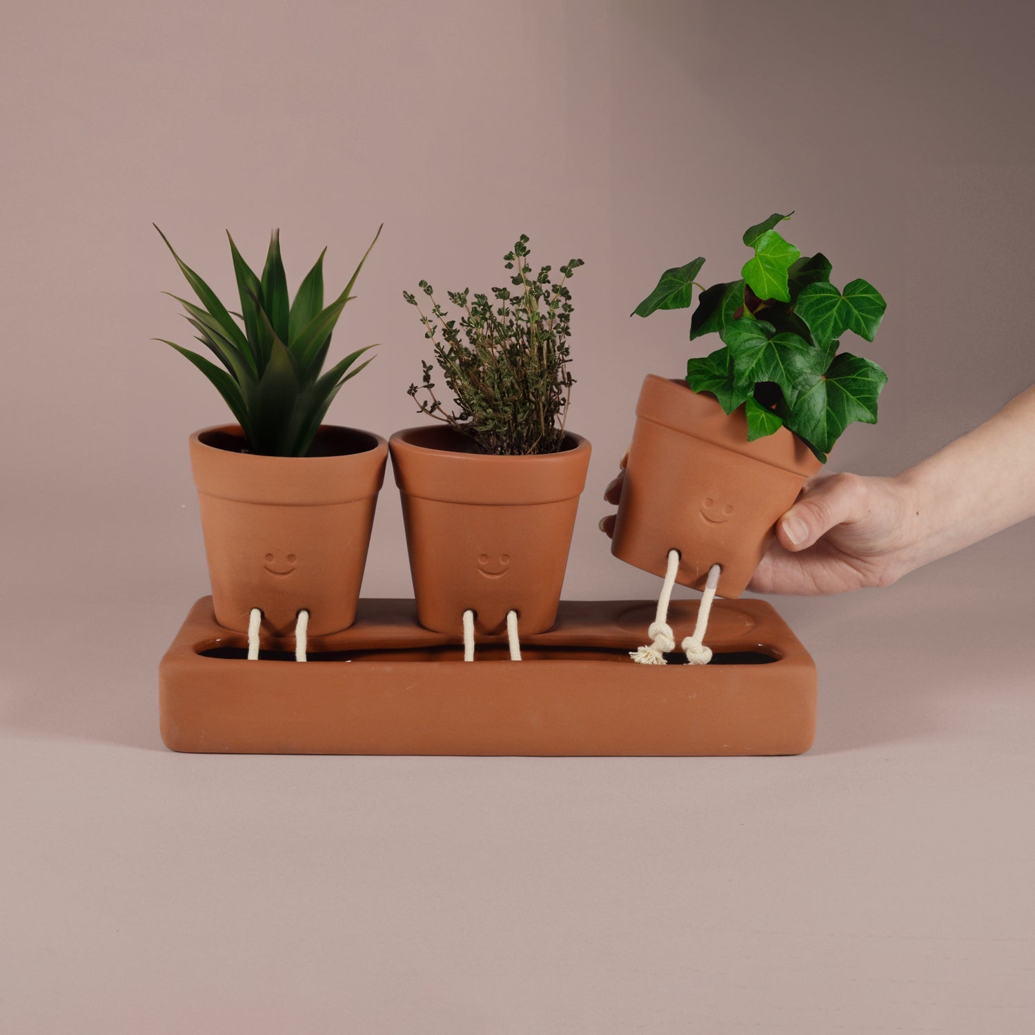 escapists 2 potted plant Trio Self Care Planter| Self Watering Plant Pot – Pikkii Wholesale