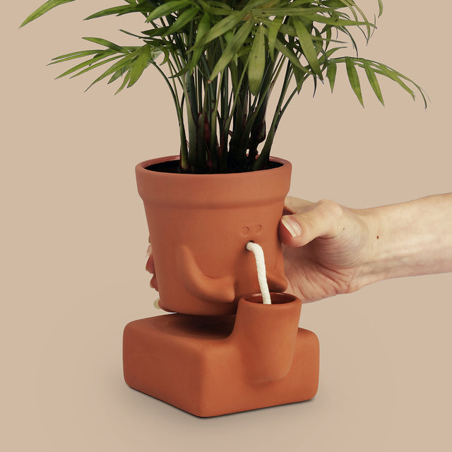 The Thirsty Planter