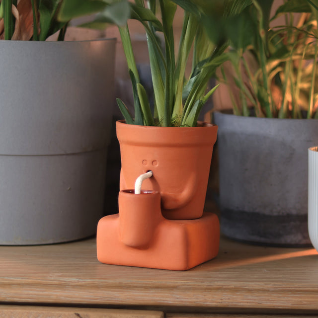 The Thirsty Planter