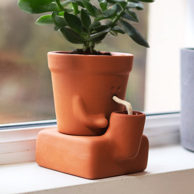 The Thirsty Planter