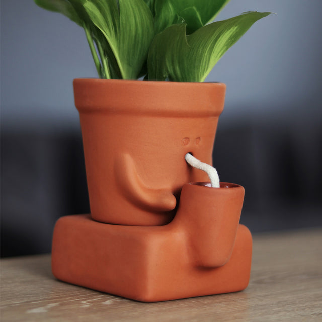 The Thirsty Planter