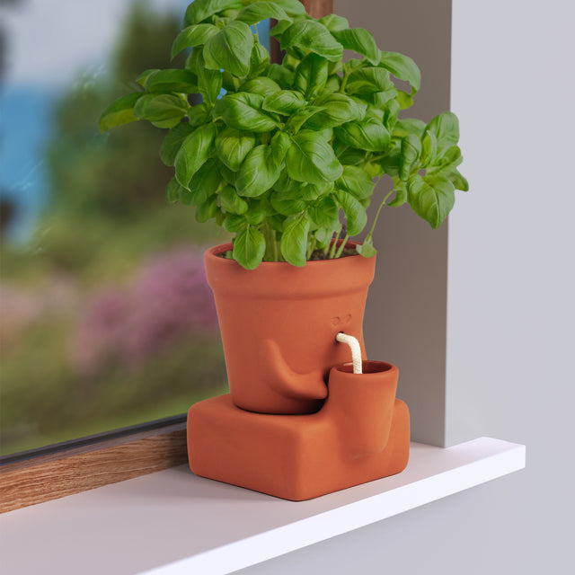 The Thirsty Planter