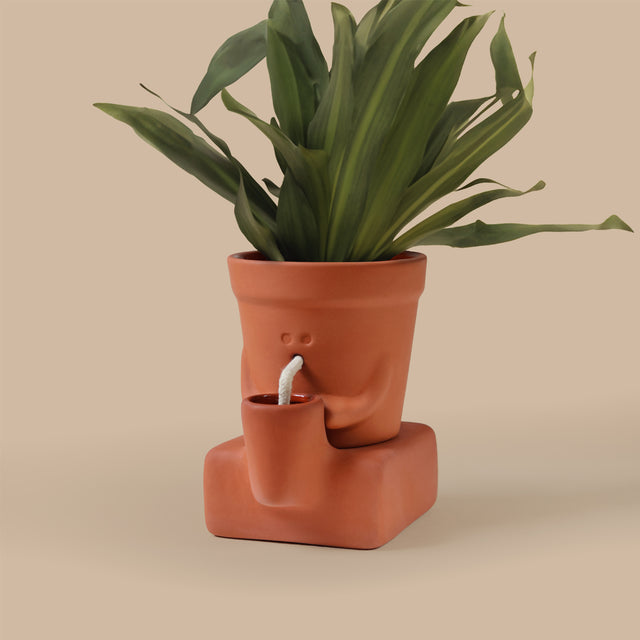 The Thirsty Planter