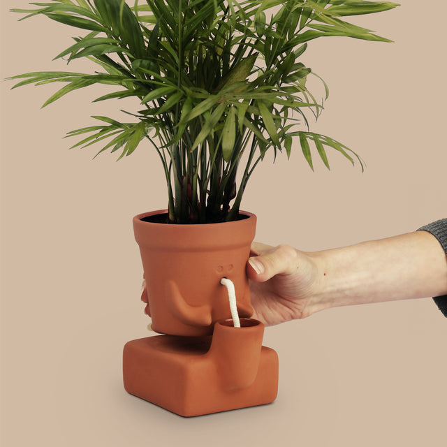 The Thirsty Planter