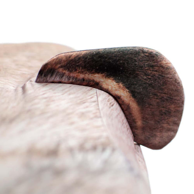 Close up of Pug ears on the Suitcase Cover over white background