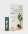 Become an expert in plants in 90 days slide box by Pikkii packaging back
