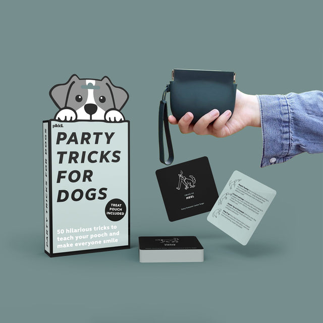 Party Tricks for Dogs