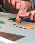 Rolling paper plant kit