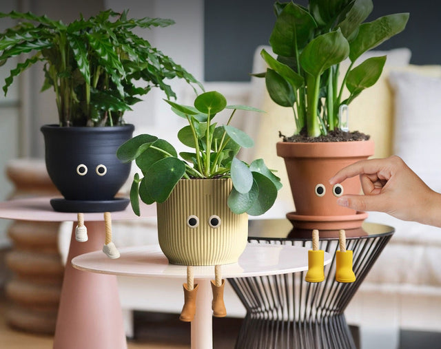 Plant Pot Pals